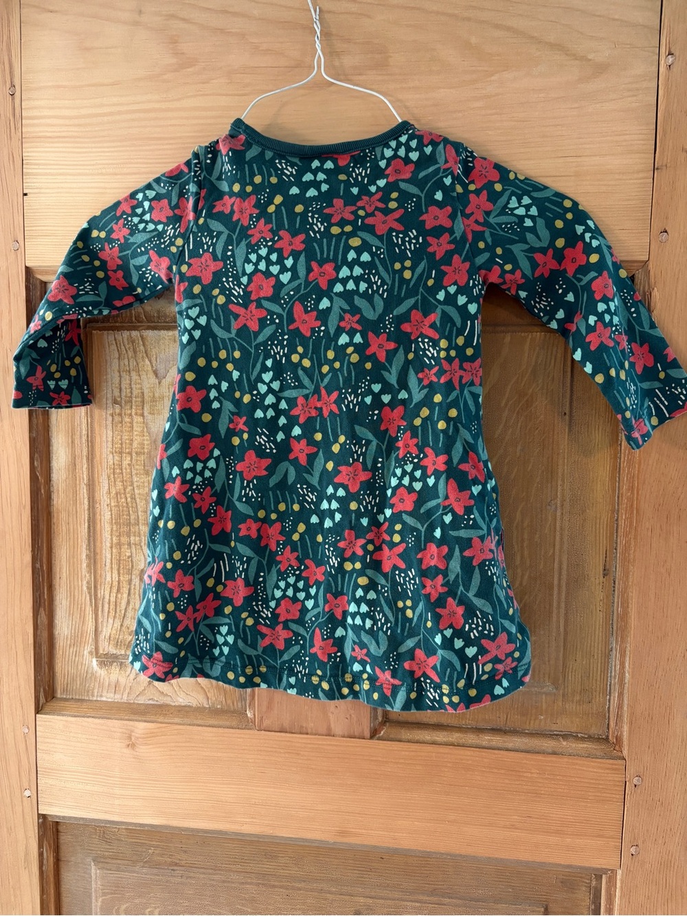 Hanna Andersson Teal Green Long-Sleeve Floral Dress Top with Red Flowers
